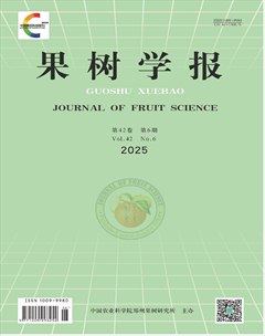 果树学报