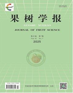 果樹學報