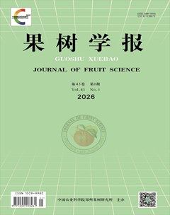果树学报