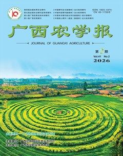 广西农学报