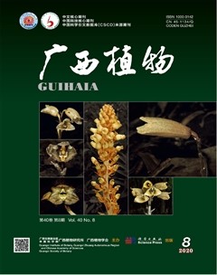 广西植物杂志封面