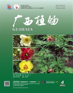 广西植物杂志封面