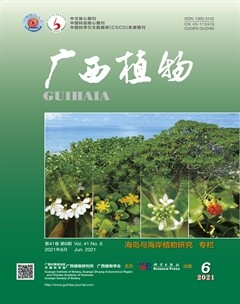 广西植物杂志封面