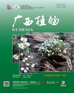 广西植物