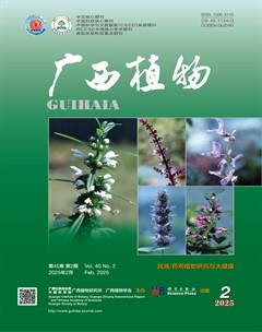 广西植物