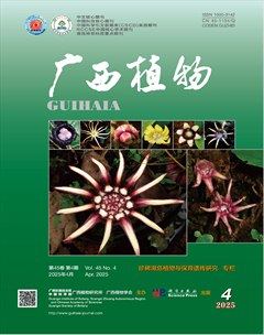 广西植物