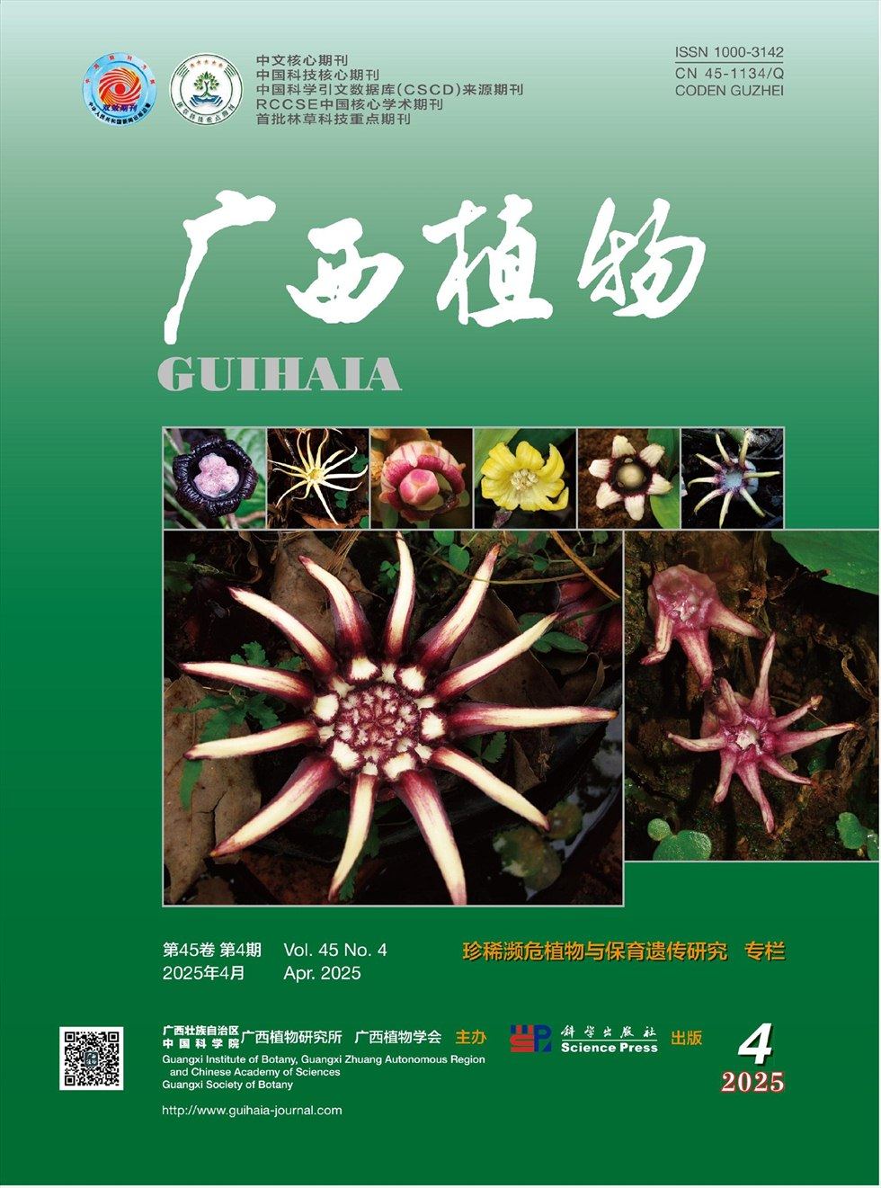广西植物