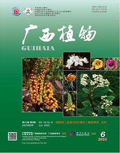 廣西植物