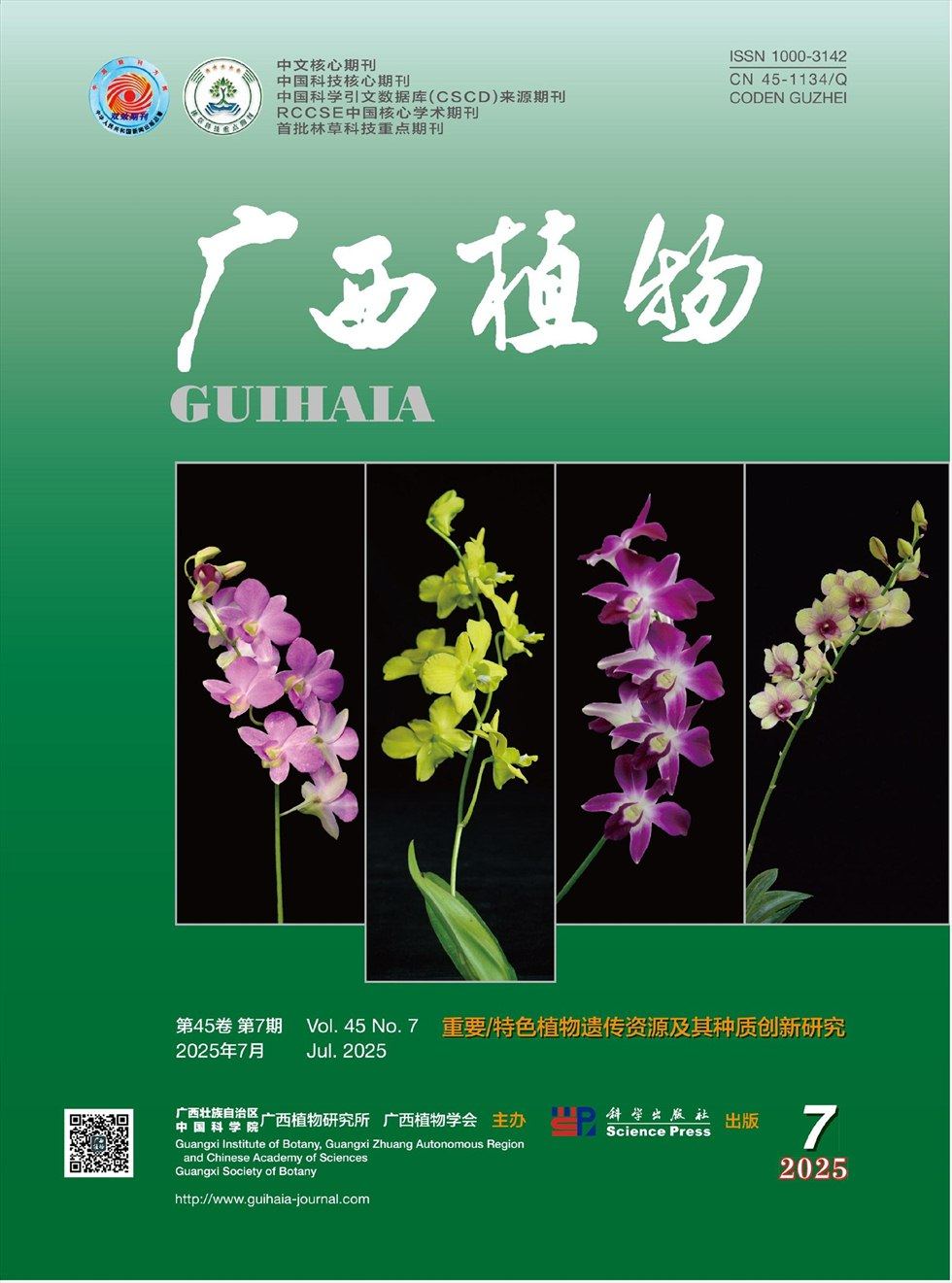 广西植物