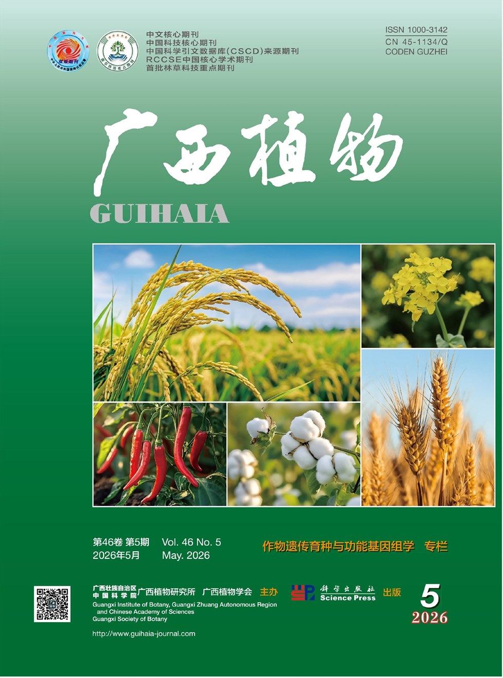 广西植物