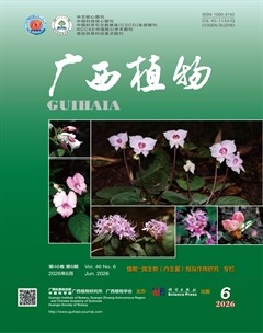 广西植物