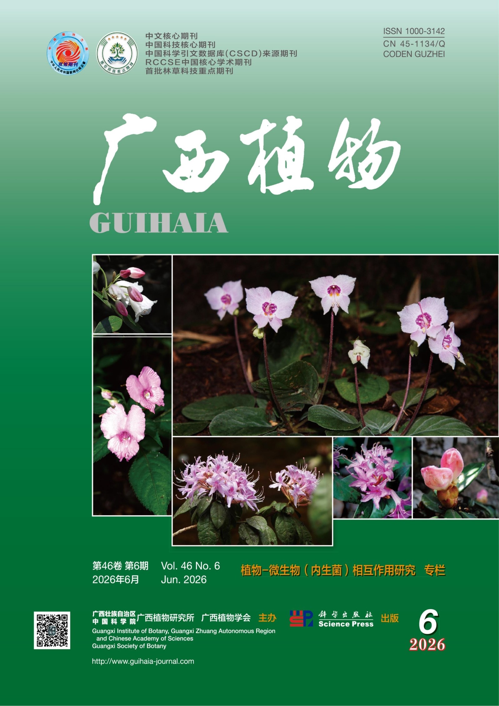 广西植物