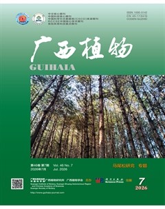 广西植物