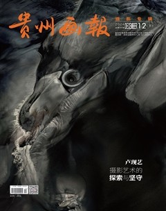 贵州画报