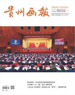贵州画报