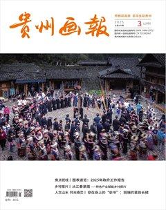 贵州画报