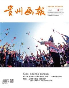 贵州画报