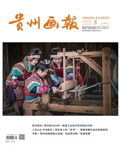 贵州画报