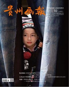 贵州画报