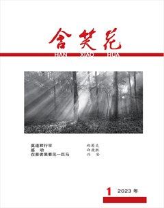 含笑花