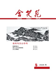 含笑花