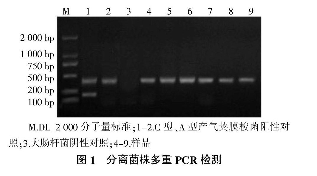 zoޛ)j馞
Z,zx)hv+߮)z{?N7um5myߎti5^4ry