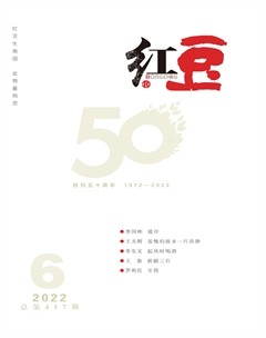 红豆2022年第6期