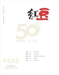 红豆2022年第12期