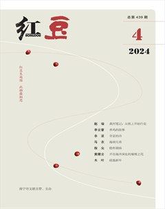 红豆2024年第4期