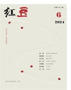 红豆2024年第6期