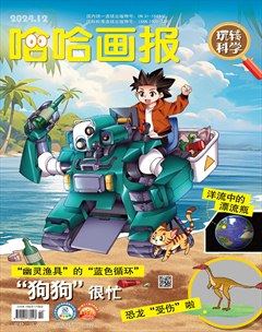 哈哈画报