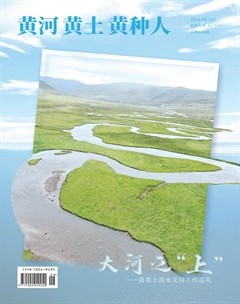黄河·黄土·黄种人