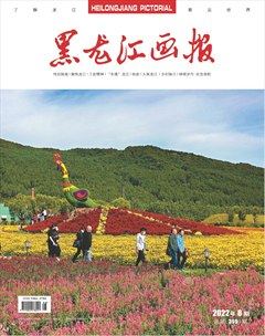 黑龍江畫報(bào)