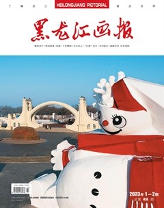 黑龙江画报