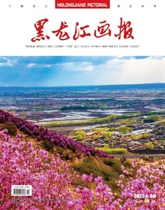 黑龙江画报