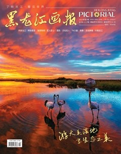 黑龙江画报