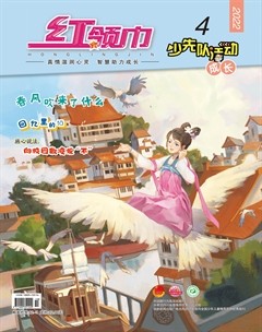 红领巾·成长