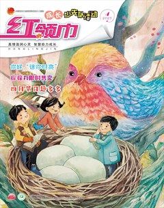红领巾·成长