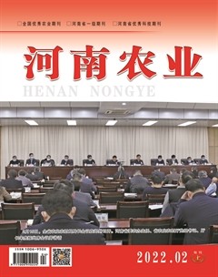 河南农业·上半月