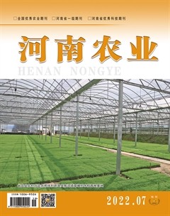 河南农业·上半月