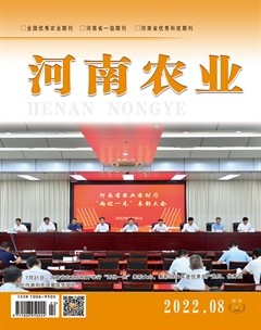 河南农业·上半月
