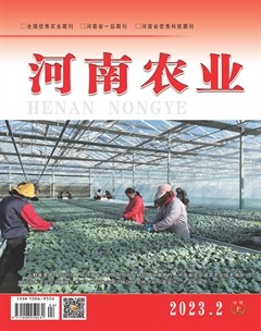 河南农业·上半月