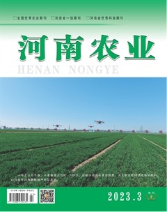 河南农业·综合版