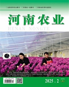 河南农业·上半月