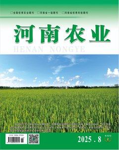 河南農(nóng)業(yè)·上半月
