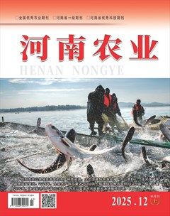 河南农业·上半月