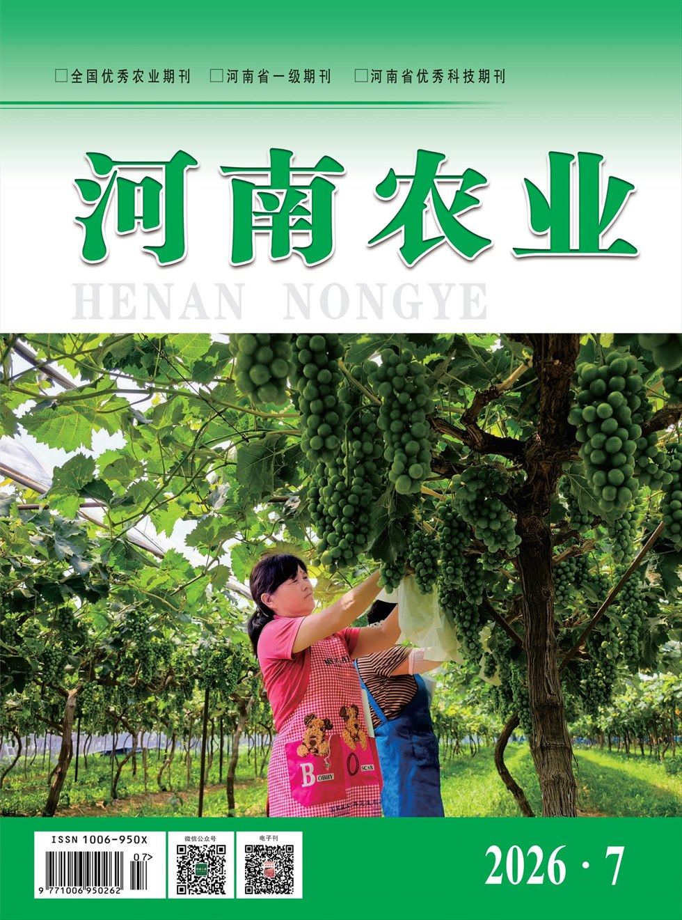 河南农业