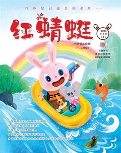 红蜻蜓·低年级