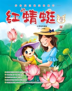 红蜻蜓·低年级