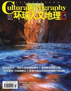 2014年第3期